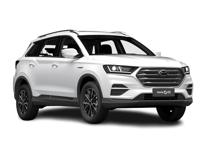 SWM G01 купить в Екатеринбурге